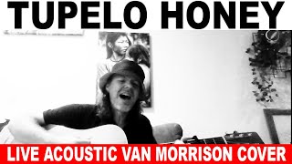 Tupelo Honey  Van Morrison acoustic cover by Dewey Paul Moffitt live solo guitar [upl. by Enymzaj]