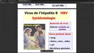 Virologie  Virus des Hepatite ABCDE FMPC [upl. by Dearman167]