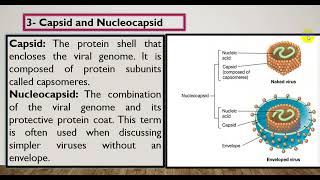 مصطلحات هامه في علم الفيروسات [upl. by Slayton]