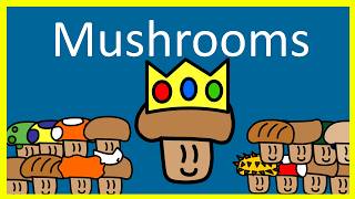 The very basics of mushrooms [upl. by Estas]