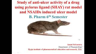 Exp 3 Study of antiulcer activity of a drug using pylorus ligand SHAY amp NSAIDs induces model [upl. by Etnoek]