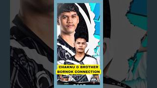 CHAKNU AND BROTHER BORNOK CONNECTION [upl. by Grobe]