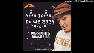 Washington Brasileiro  Fica Amor [upl. by Esahc]