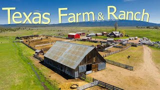 How Texas Farmers Are Running 247000 Farms And Ranches  Farming Documentary [upl. by Odnamra]