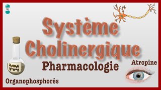 Système Cholinergique  Pharmacologie récepteurs muscariniques nicotiniques [upl. by Nnayr746]