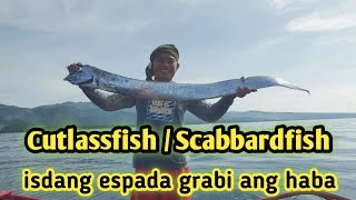 Cutlassfish  Scabbardfish  Ang isdang espada masarap sa paksiw  Buhay Mangingisda [upl. by Jorry]