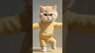 dance cat ai animal ダンス 猫 [upl. by Natica]