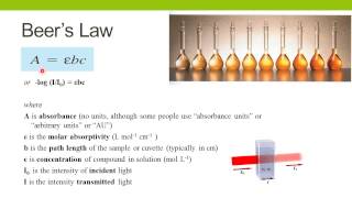 Spectrophotometric Enzyme Assays [upl. by Johna]