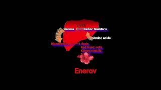 Amino Acids amp Energy output Metabolism Made Easy [upl. by Law]