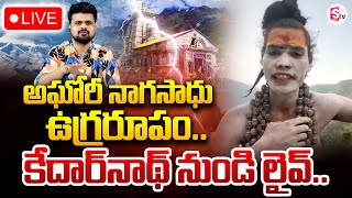 LIVE🔴అఘోరీ ఉగ్రరూపం Aghori Nagasadhu Exclusive Live Call From Kedarnath  SumanTV Tirupati [upl. by Holsworth]