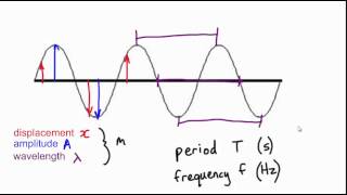 Waveform science physics waves amplitude frequency wavesounds education learning [upl. by Hertberg]