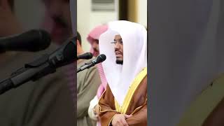 Yasir dossary quran recitation [upl. by Stephana]