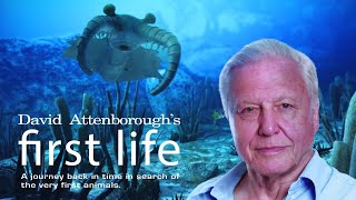 First Life with David Attenborough  Ep 2 Conquest 2010 [upl. by Harald]