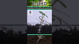 🌱ESeed สามารถฝังเมล็ดลงดินได้อัตโนมัติ🌳 [upl. by Peltier]