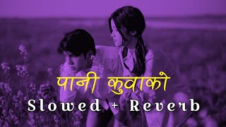 Pani kuwakoSlowed  Reverb  Sumitra Koirala  Alif Khan  Reverb Nepal [upl. by Christiano20]