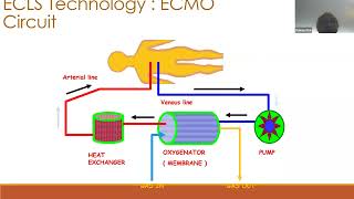 03 ECMO  Physiology by Dr Pranay Oza ECMO INDIA OCT 2024  Day 01 [upl. by Aneram]