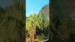 The MSG SPHERE Las Vegas Today Sunday September 17 2023 shortsvideo shorts [upl. by Yevre]