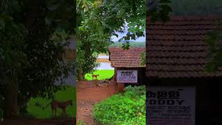 Toddy shop in Kerala palakkad kerala gramam palakkadkerala [upl. by Aiksa]