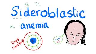 Sideroblastic Anemia [upl. by Artinak638]