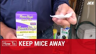 How To Keep Mice Away  Ace Hardware [upl. by Redleh19]