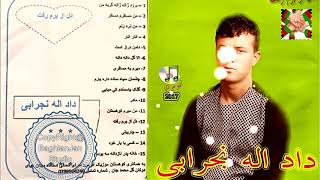 Dadullah Nejrabi New Best songs  دادالله نجرابى اهنګهاى جديد [upl. by Demaggio944]