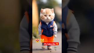 Cat lovelife businessshorts bhojpuri pawansinghcatvideocatlover kittenskittyloveviralshorts [upl. by Adnaluy]