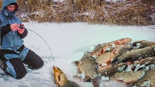 В ЭТОМ ОЗЕРЕ СБИЛСЯ ВЕСЬ КАРАСЬ НА ЗИМОВКУ ГЛУХОЗИМЬЕ УДИВИЛО Зимняя рыбалка 2024 [upl. by Alexa612]