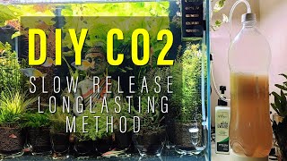 Slow Release or Long Lasting DIY CO2 for Planted Tanks  Tamil  Amudh Aquascapes [upl. by Gnek]