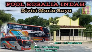 Inilah Lokasi Pool Rosalia Indah Div Muria Raya‼️Jalur Baru Pati  Sumatera amp Pati  Jabodetabek🔥 [upl. by Eseerehc414]