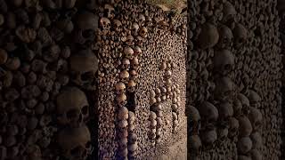 Catacombes of Paris catacombs paris halloween spooky [upl. by Ycnay]