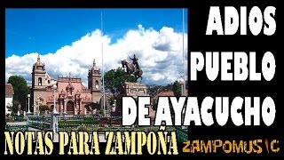 Adiós pueblo de Ayacucho tutorial notas para zampoña audio off [upl. by Atoel]