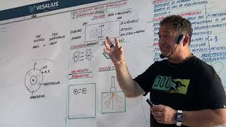 CITOSOL  CITOESQUELETO  CLASE EN VIVO  CON EL PROFESOR MÁS DIDÁCTICO DE AMÉRICA LATINA [upl. by Romina]