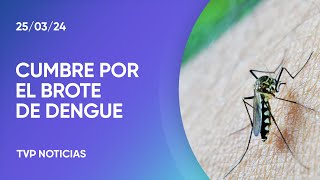 Brote histórico de dengue cumbre de ministros de Salud [upl. by Joletta]