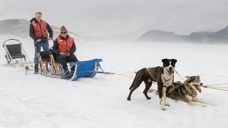 Skagway Alaska dog sledding [upl. by Kirschner386]