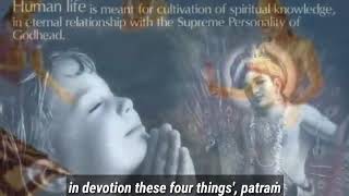 Prabhupada says Patram Pushpam Phalam Toyam [upl. by Asum196]