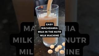 Fresh amp Healthy Make Macadamia Nut Milk at Home🌿🥛 [upl. by Grochow]