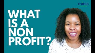 What is a Nonprofit Organization [upl. by Maurine]