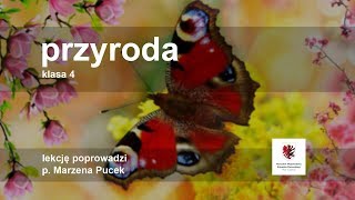 Przyroda  klasa 4 SP Krajobrazy Polski Życie w jeziorach [upl. by Meeker397]