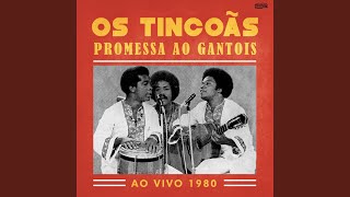 Promessa Ao Gantois Ao Vivo 1980 [upl. by Harness]