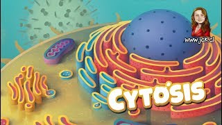 Cytosis JcK  Juego de Mesa  Como se Juega  Tutorial  Ludoismo [upl. by Elissa415]