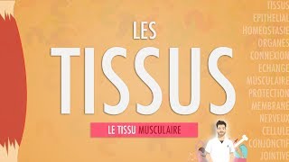 LES TISSUS LE TISSU MUSCULAIRE Partie 2 [upl. by Adnirak681]