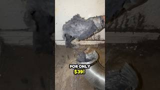 Dryer Vent Cleaning for only 39 😱 [upl. by Neurath372]