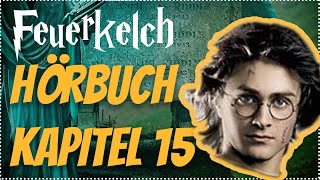 Harry Potter und der Feuerkelch Hörbuch Kapitel 15 Hörspiel Erwachsene Hörbuch Hörspiel [upl. by Lyrrad]