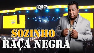 RAÇA NEGRA SOZINHO [upl. by Wiltshire]