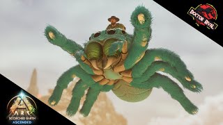 JUMPING SPIDER full taming  Cyrus Critters Jumping Spider  Ark Scorched Earth Ascended [upl. by Douglas]