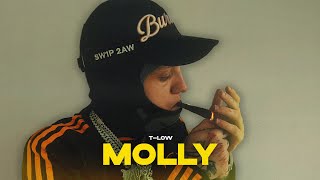 tlow  MOLLY OFFICIAL VIDEO prod808Vibes [upl. by Eliezer]