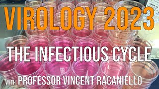 Virology Lectures 2023 2 The Infectious Cycle [upl. by Ihsar]