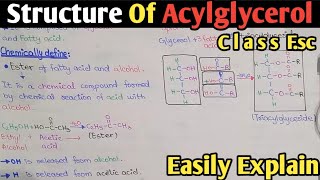 Acylglycerol Structure Fully Explained In Urdu Hindi  Triacylglyceride  Easter  Class 11 Biology [upl. by Anaujnas]