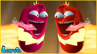 LARVA  Super speed  CARTOON MOVIE FOR LIFE THE BEST OF CARTOON  HILARIOUS CARTOON COMPILATION [upl. by Leasi856]