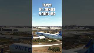 Watch This Perfect Landing At Tampa Int Airport  United B737800 [upl. by Glen]